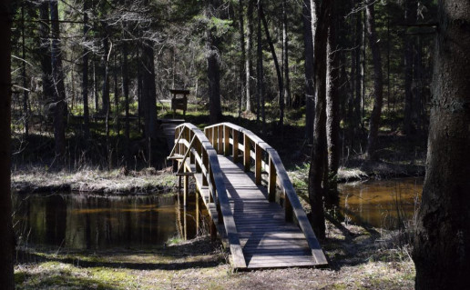 20_Peršokšnos pažintinis takas (2)_r1.jpg